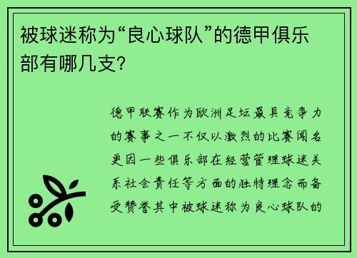 被球迷称为“良心球队”的德甲俱乐部有哪几支？
